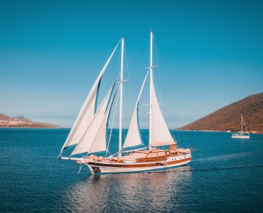 WICKED FELINA Sailing