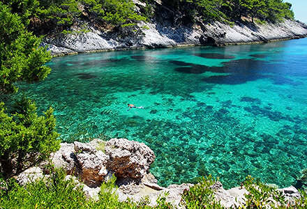 Snorkeling in Korčula