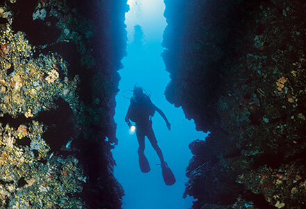 Diving, Vis Island