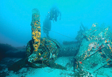 Island Vis Diving