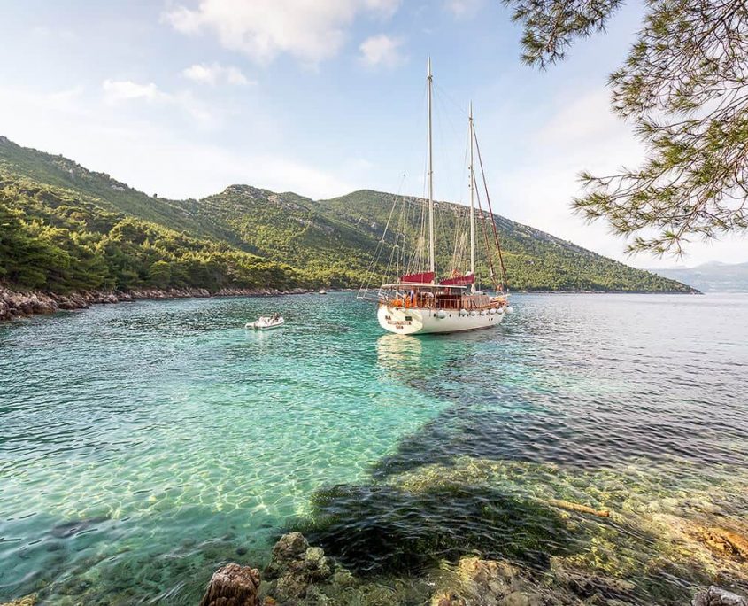 MORNING STAR Anchored