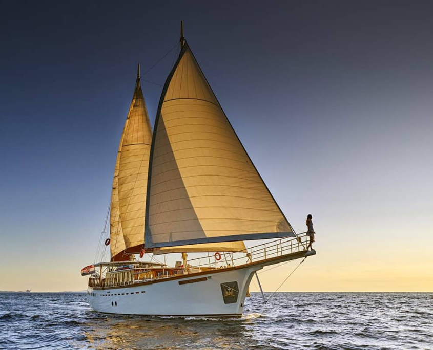 MORNING STAR Sailing (3) MORNING STAR Sailing (3)