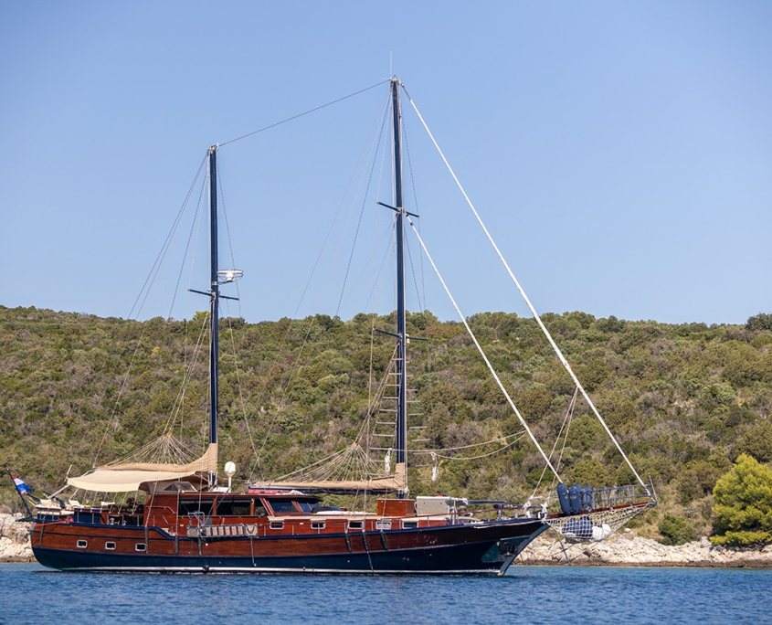 PACHA Anchored