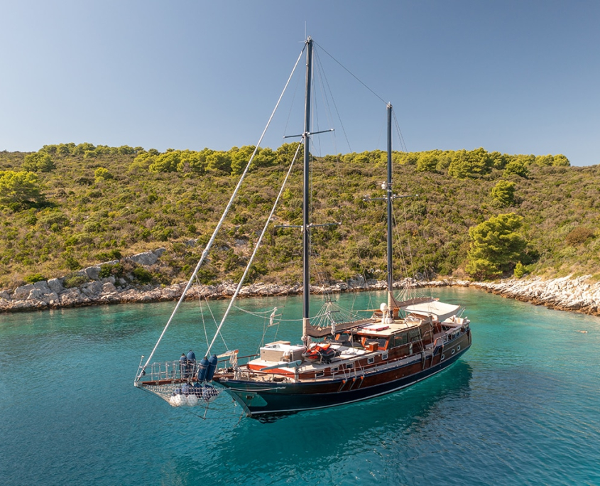 PACHA Anchored