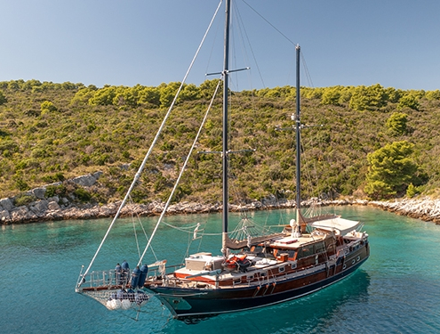 PACHA Featured image