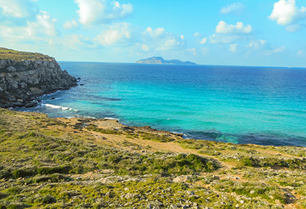 The Turquoise Waters, Favignana