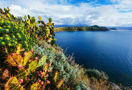 Lipari Island