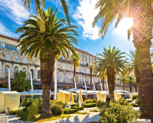 Split Main Waterfront Walkway Palms And Architecture