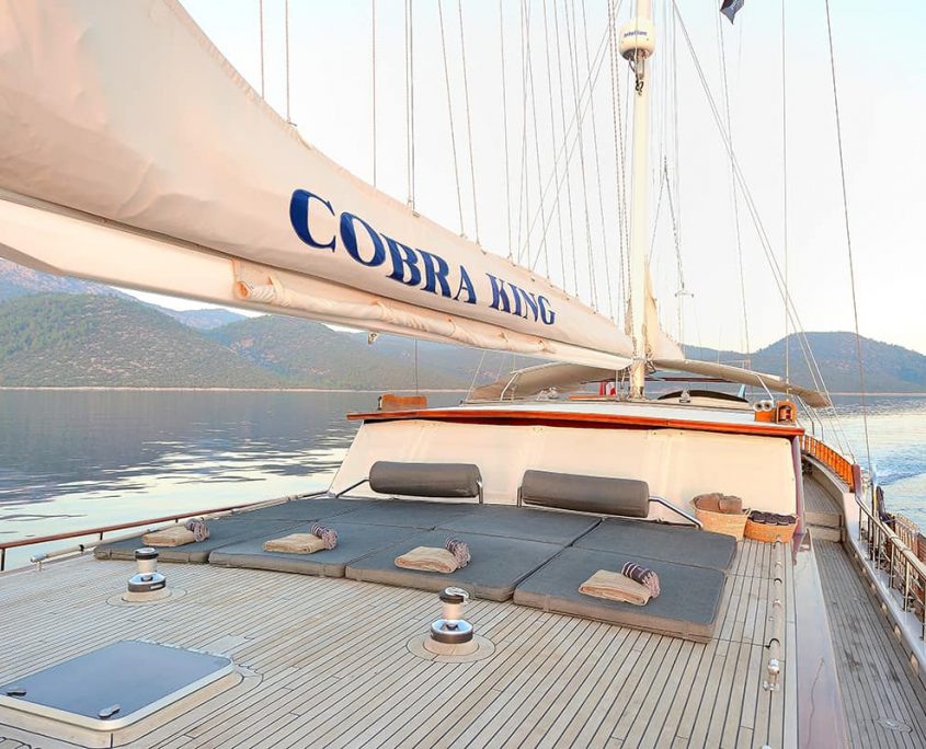 COBRA KING Sun deck