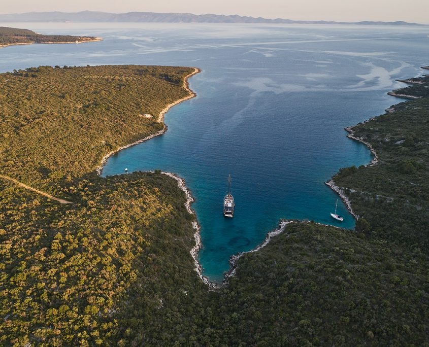 RARA AVIS Aerial view