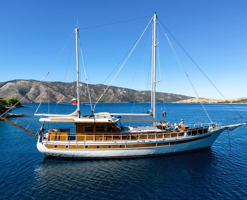 ABORDA Anchored (5) ABORDA Anchored (5)