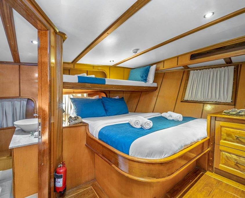 TERSANE 8 Triple cabin