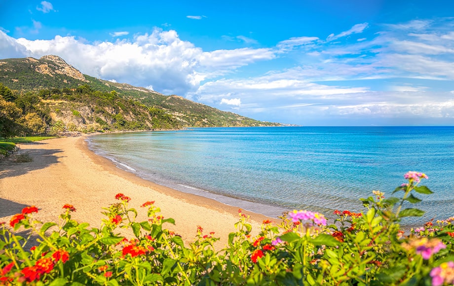 Panorama-of-Porto-Zorro-beach-against-colorful-flowers-on-Zakynthos-island-Greece