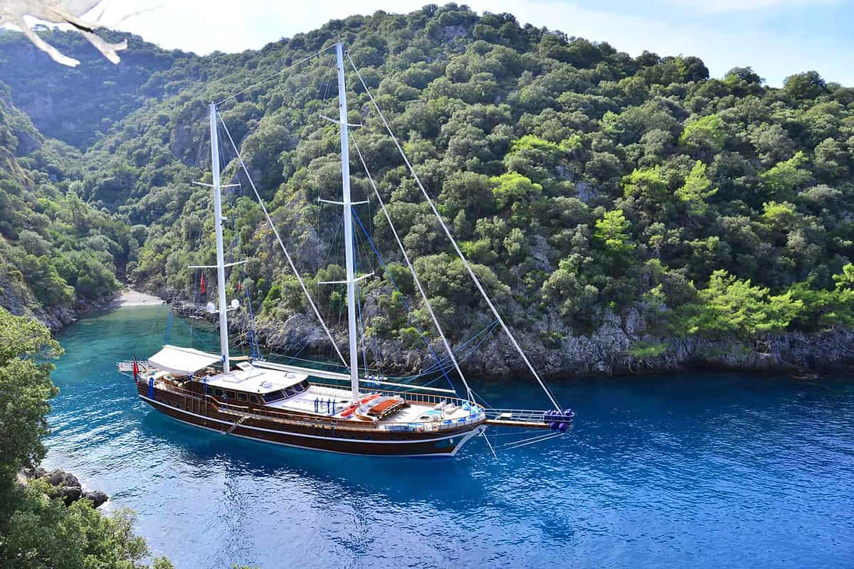 LYCIAN QUEEN Anchored