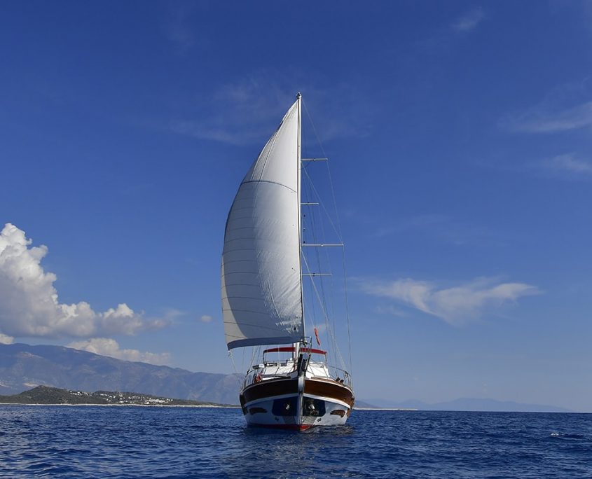 BLU DREAM Sailing