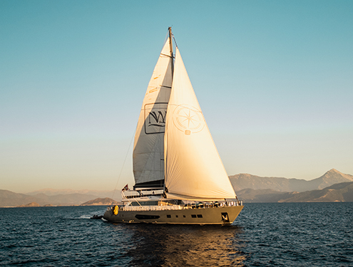 NORTH WIND Featured image